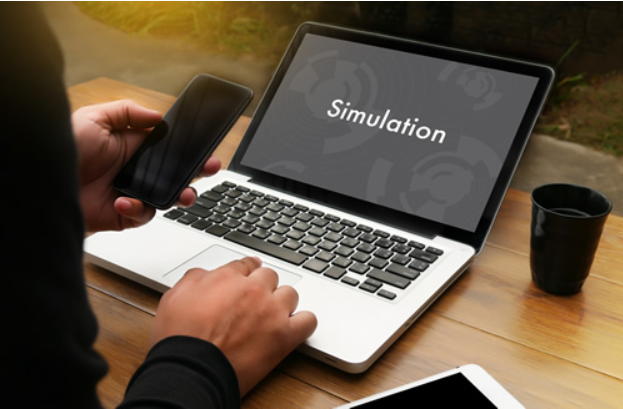 simulation